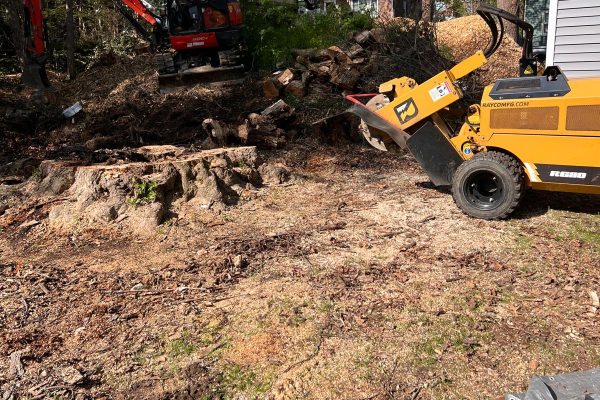 WhatsApp Image 2025-06-03 at 4.57.49 PM