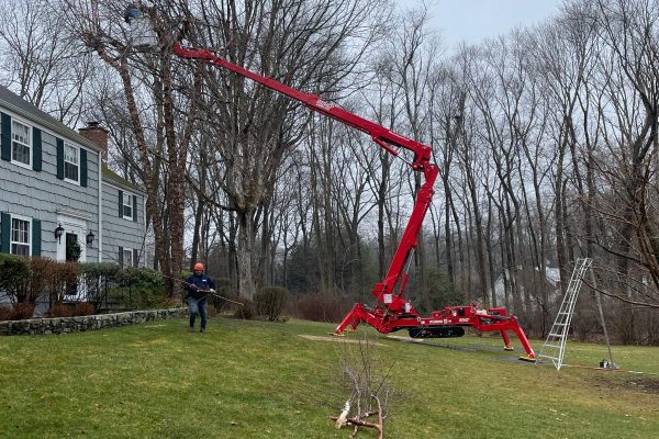 WhatsApp Image 2025-06-03 at 5.10.05 PM (1)