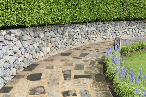Concrete cement walkway in the garden lawn